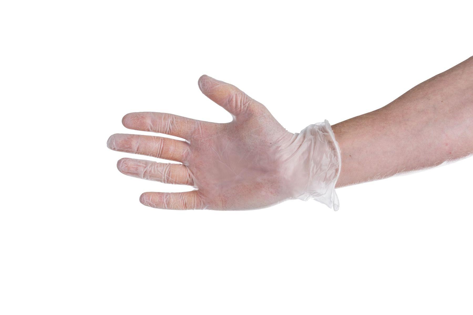 VPFM Gloves Vinyl Powder Free Medium